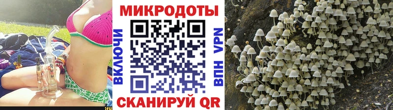 Псилоцибиновые грибы прущие грибы  Новоаннинский 